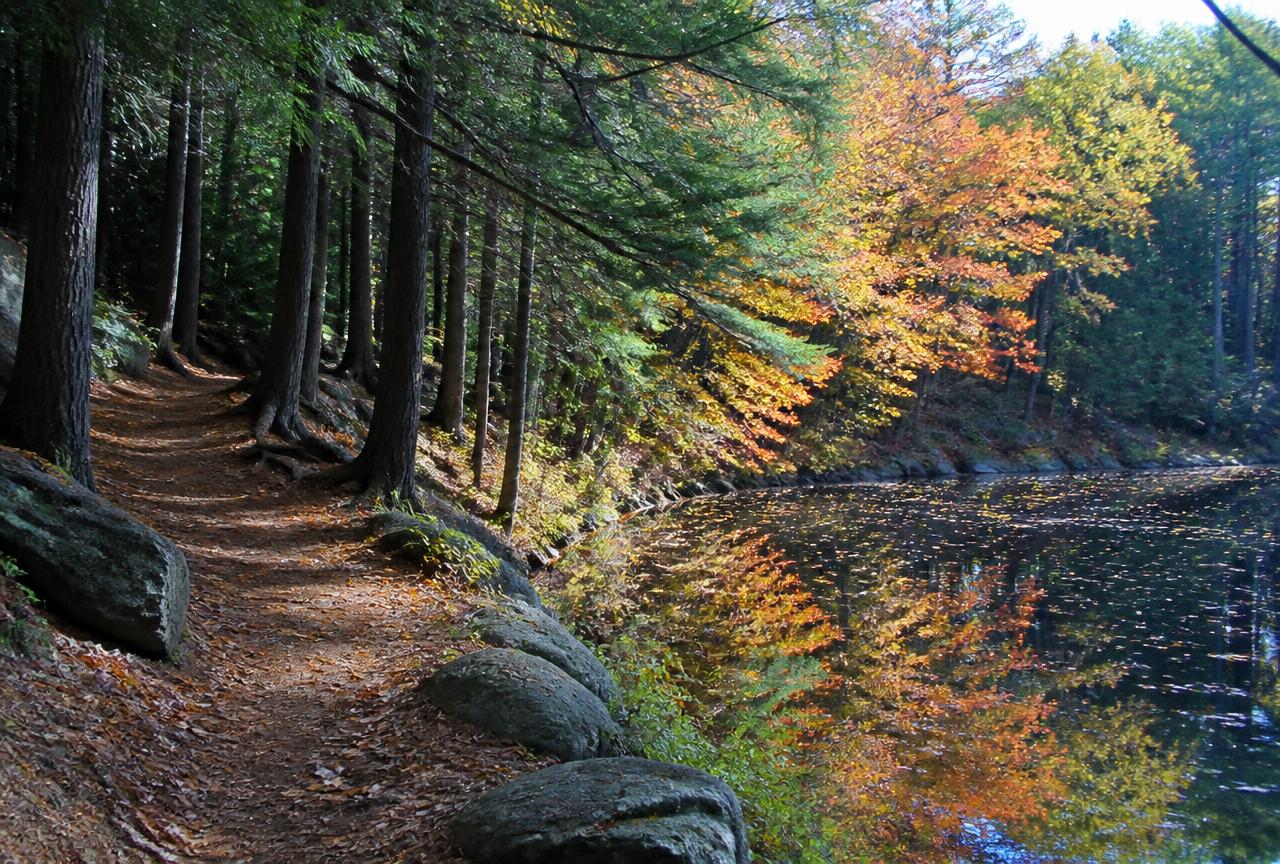 Forest hiking trail beside Peck Pond in Pulaski State Park, Glocester, Rhode Island